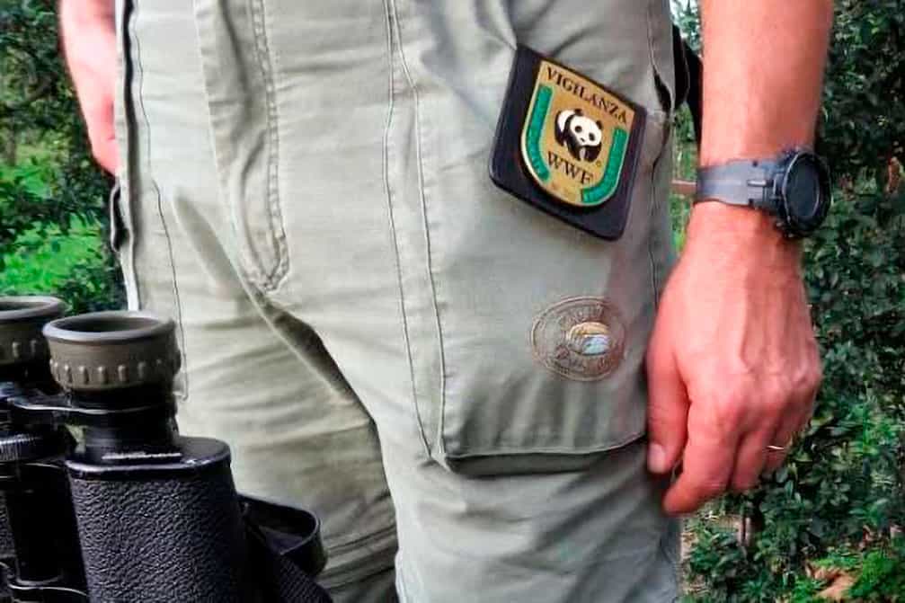 Continua il bracconaggio dei Funghi nel Parco Regionale di Roccamonfina