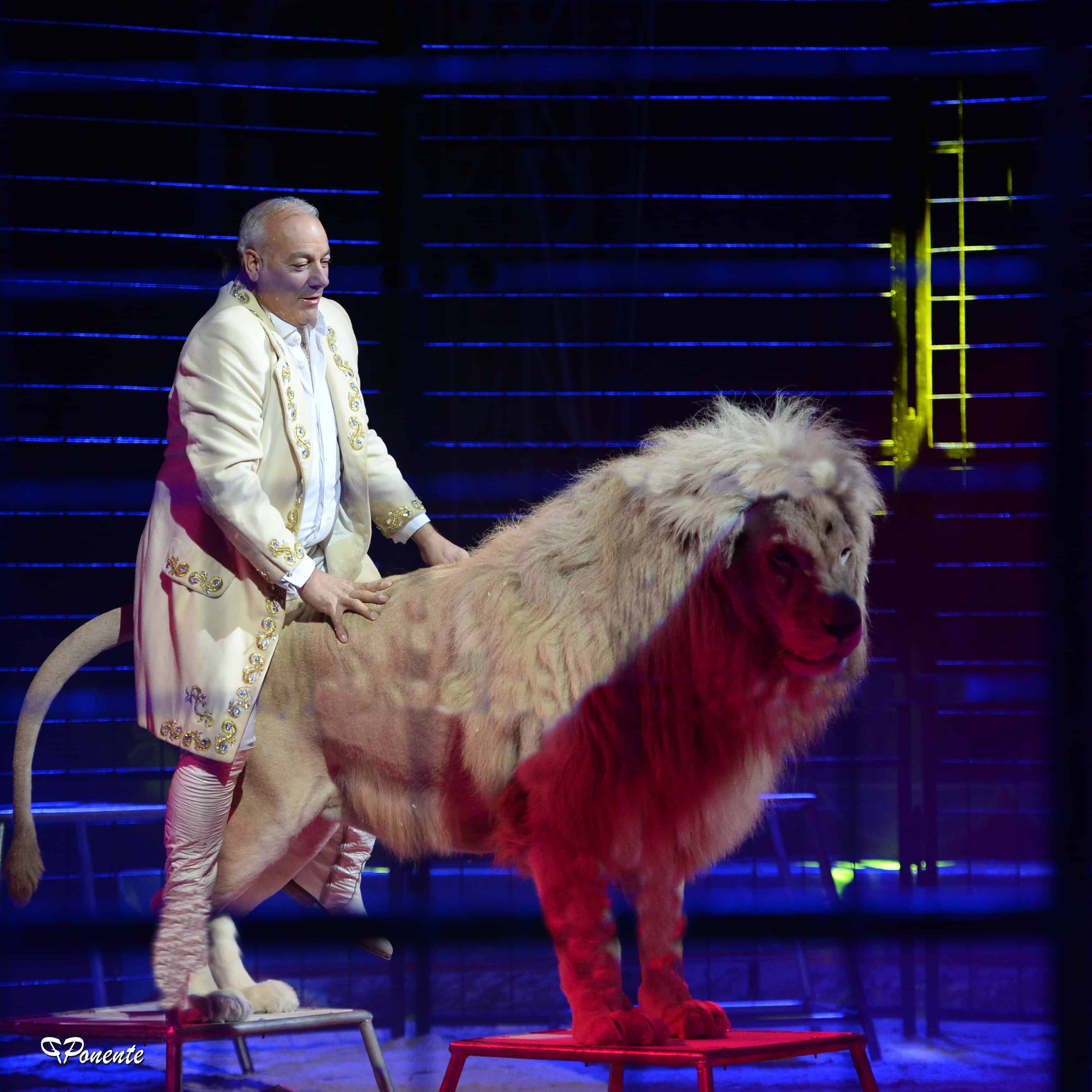 La magia del circo Togni torna a Napoli per le festività Natalizie