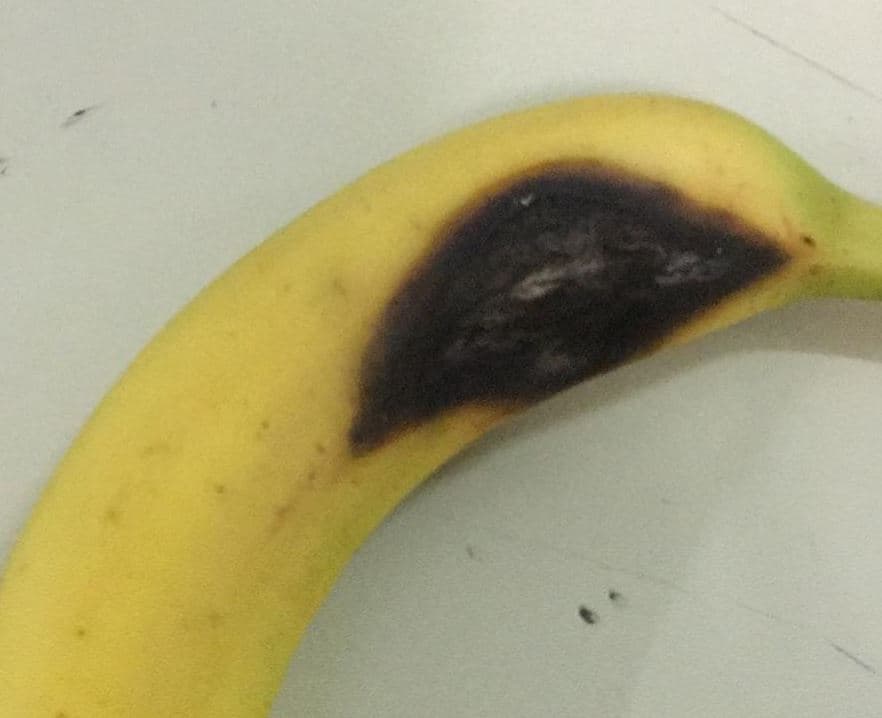 Carne cruda e frutta avariata in una scuola materna a Giugliano