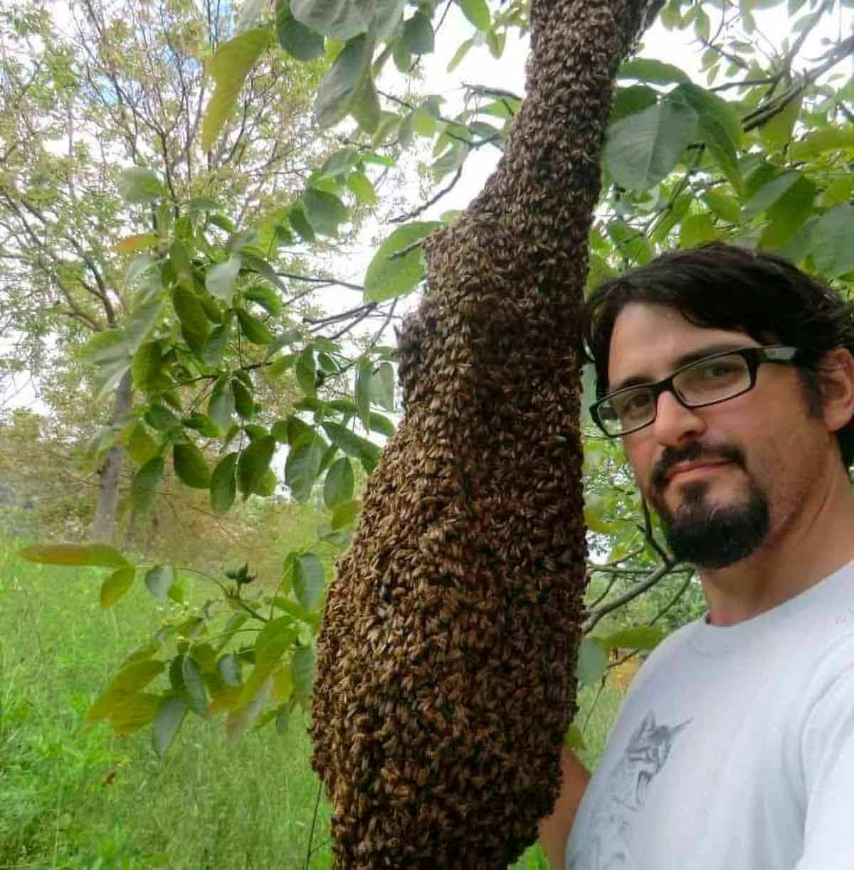 Guglielmo Giuliano: la natura, le api e l’uomo