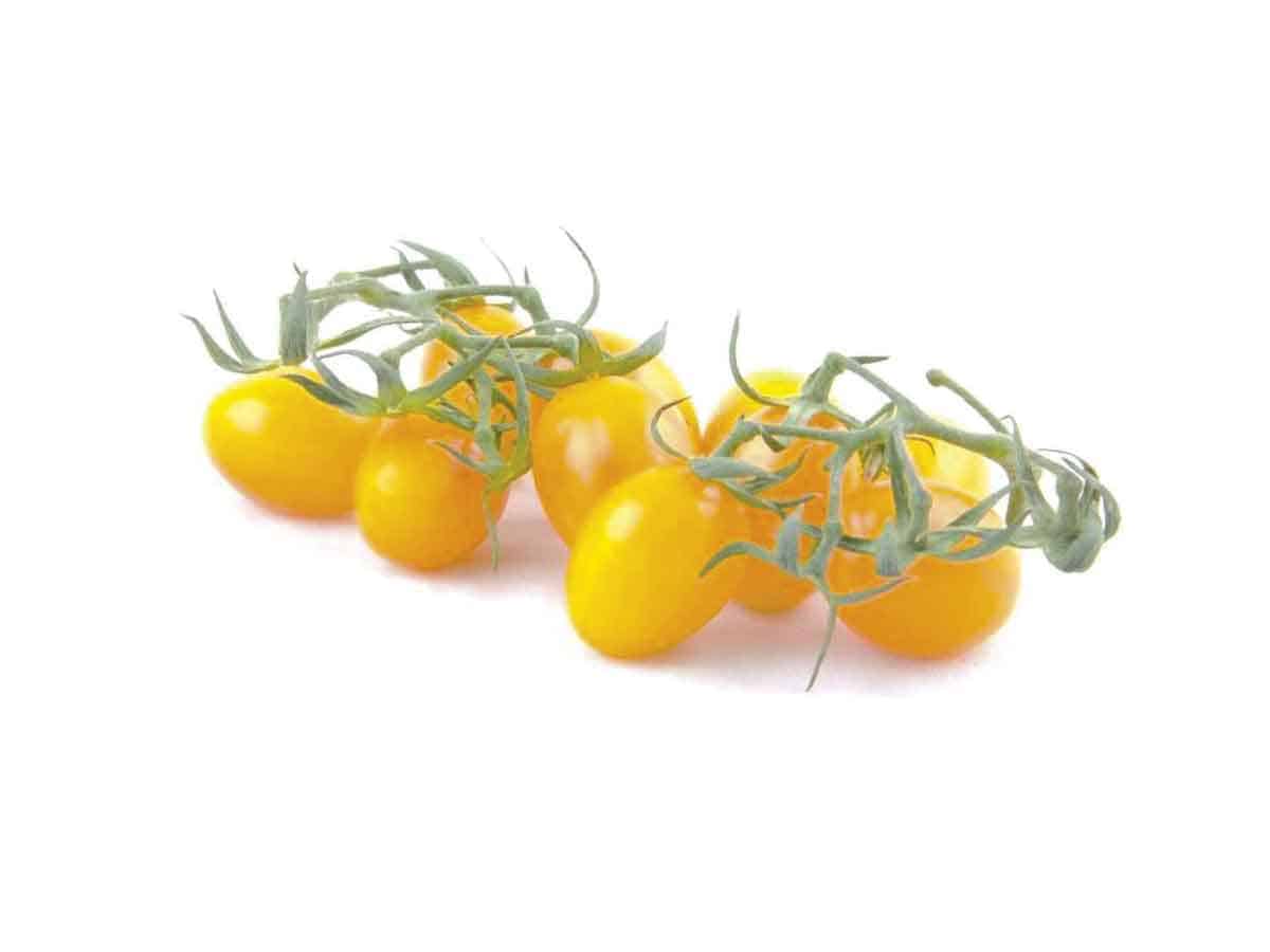 Pomodorino giallo: il vero "Pomo d'Oro" dal grande potere