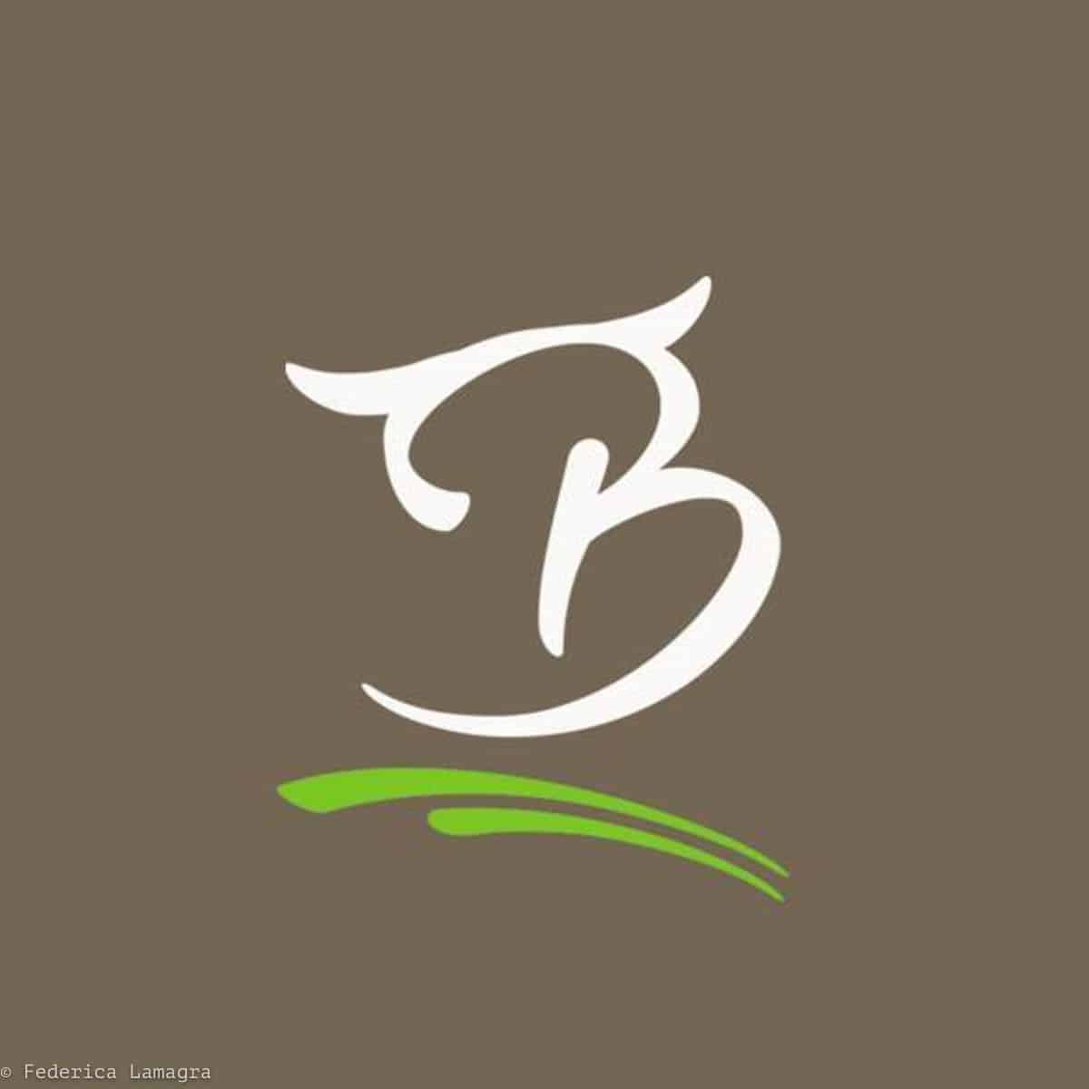 informareonline-bufala-fest-1
