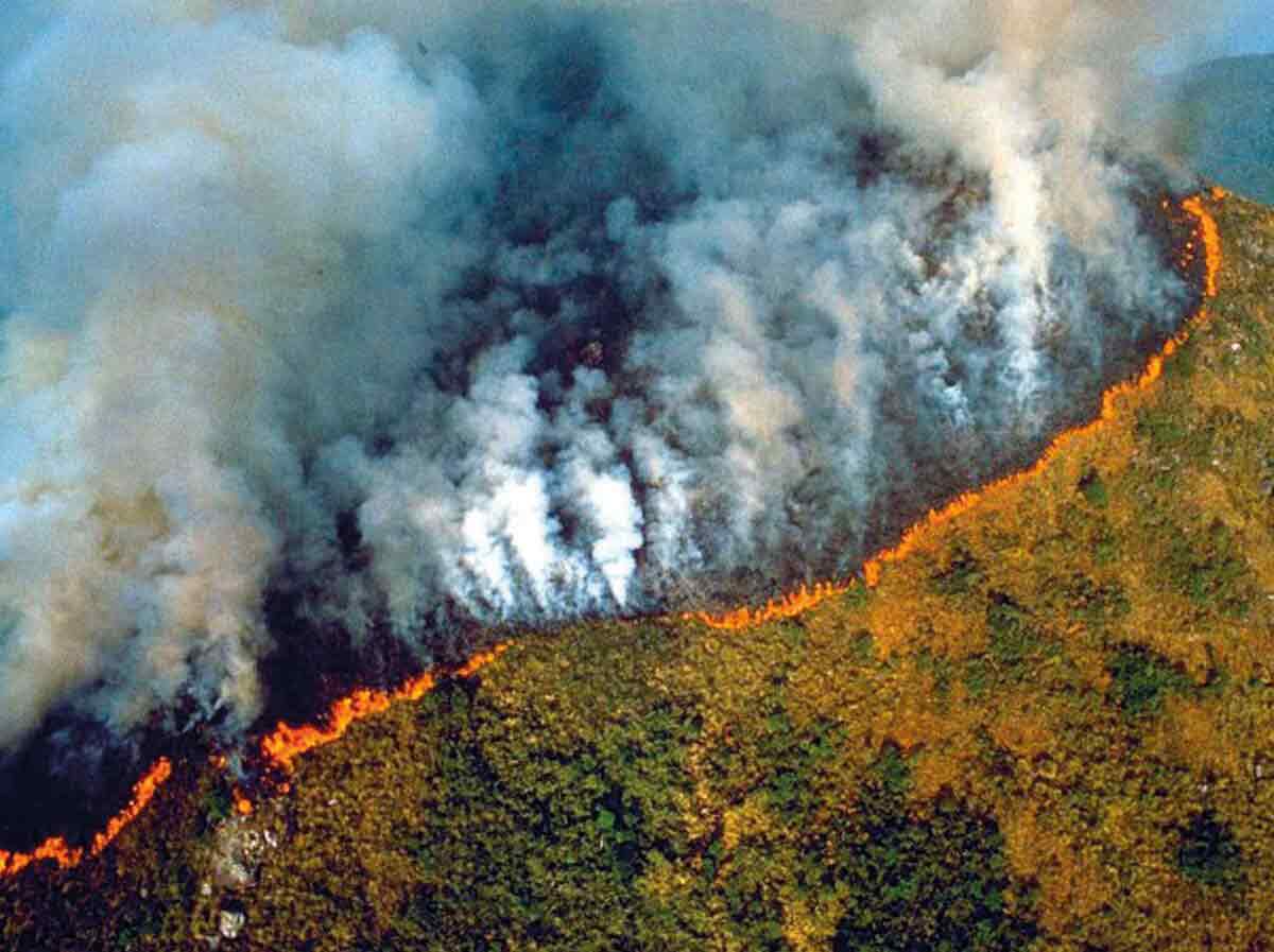 informareonline-amazzonia-1