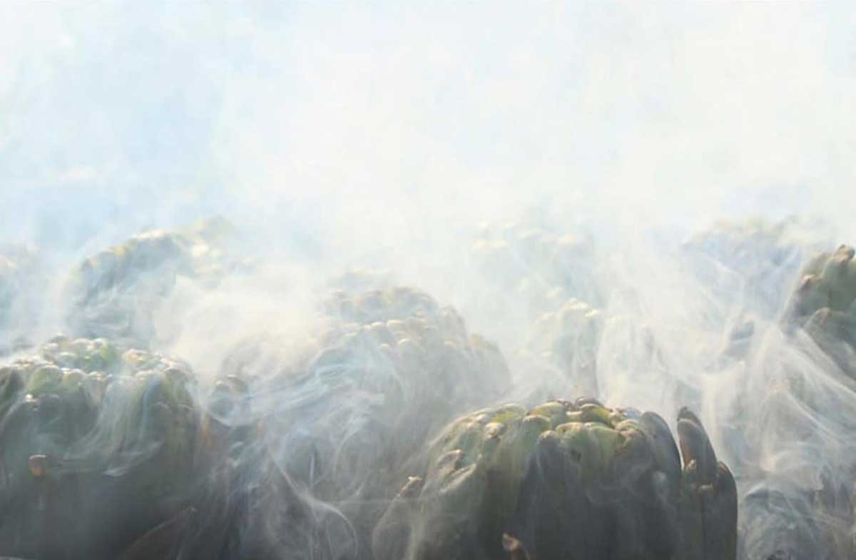 informareonline-il-carciofo-3