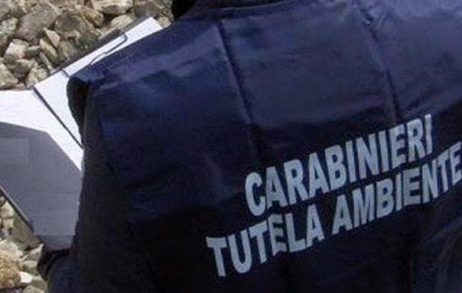 Sequestrato cementificio a Caserta, l'intervento dei Carabinieri NOE