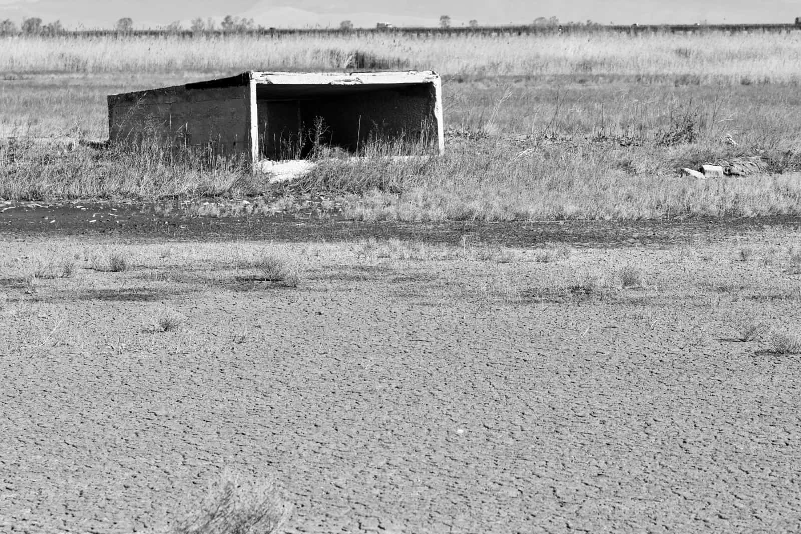 Bunker con letti a Castello: Così i bracconieri facevano strage di uccelli selvatici alle Soglitelle