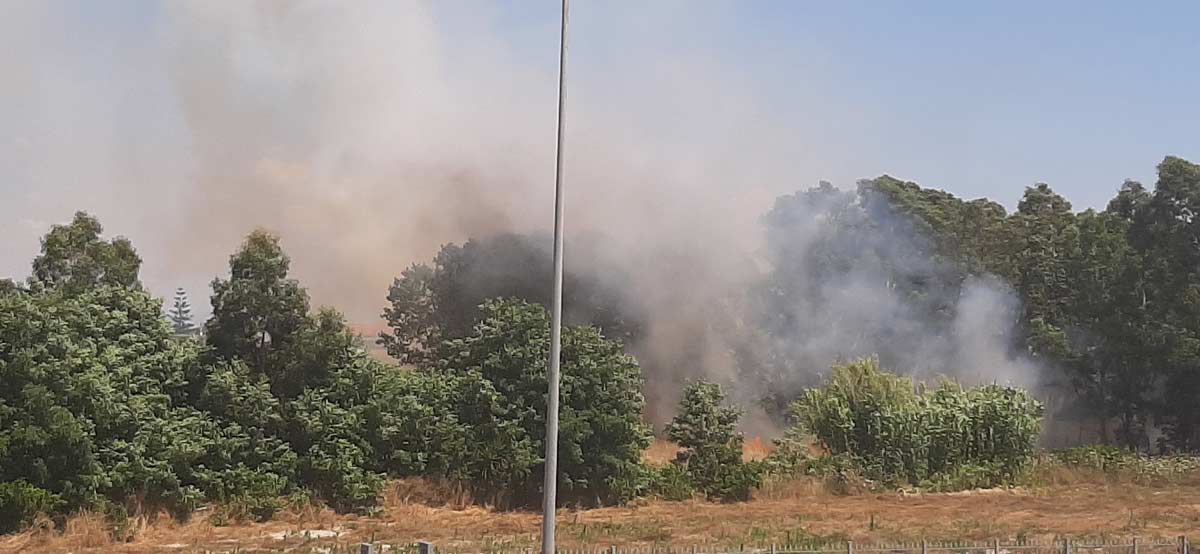 Castel Volturno, divampa incendio alle spalle delle Palazzine Grimaldi