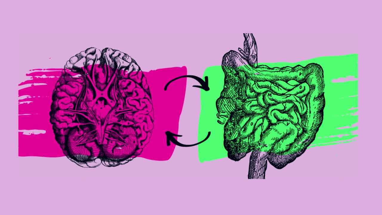 Intestino: la relazione tra il microbioma e la salute psico-fisica