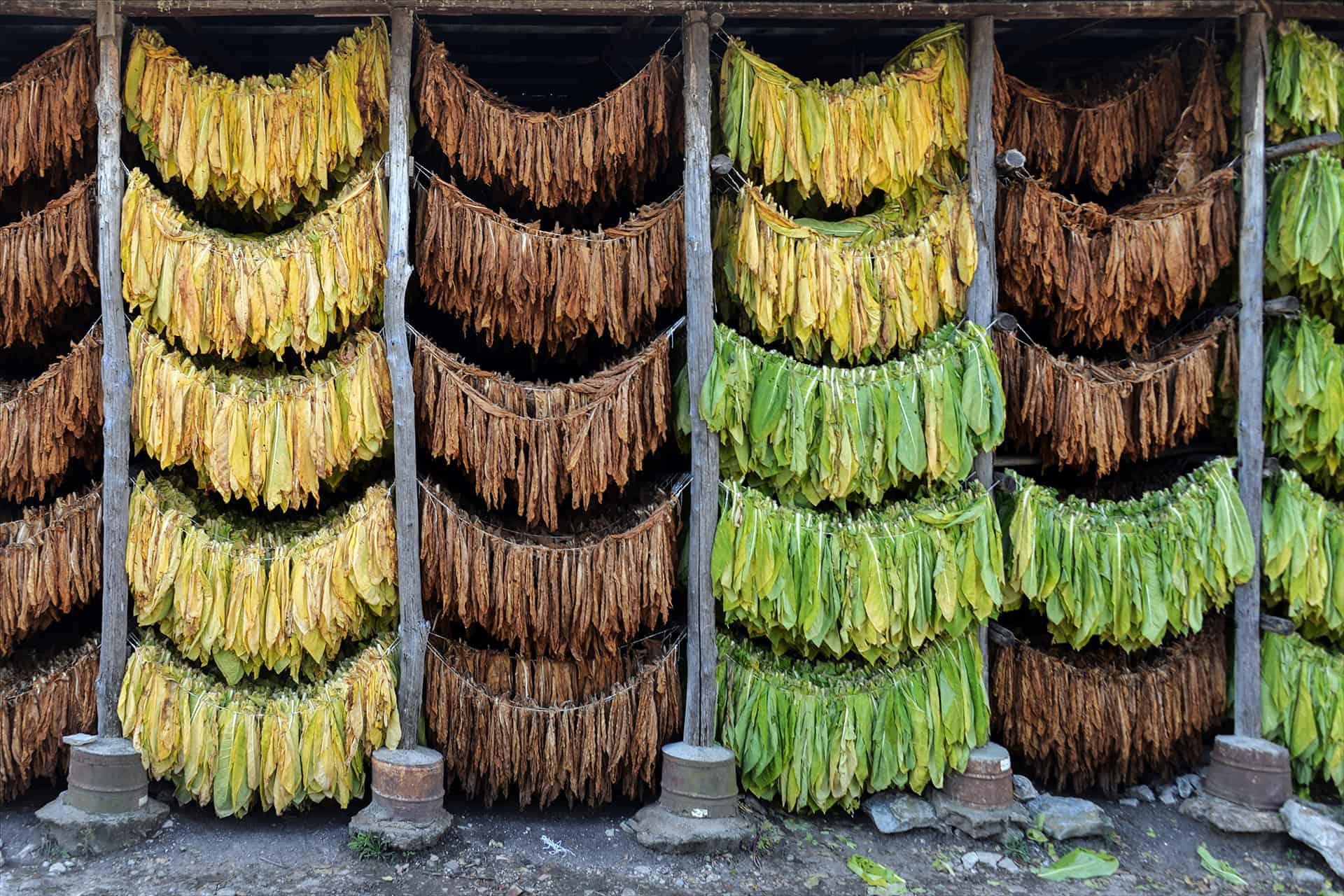 La terra del Fortore nella mostra fotografica di Angelo Marra