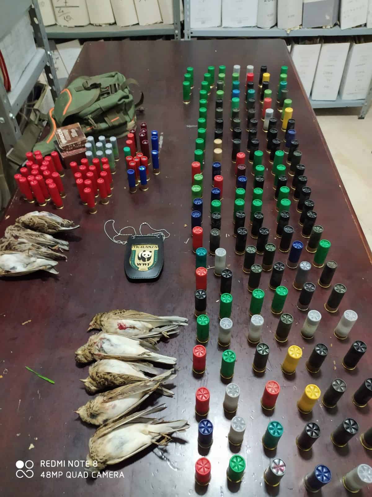 WWF - Denunciati 2 bracconieri a Sessa Aurunca