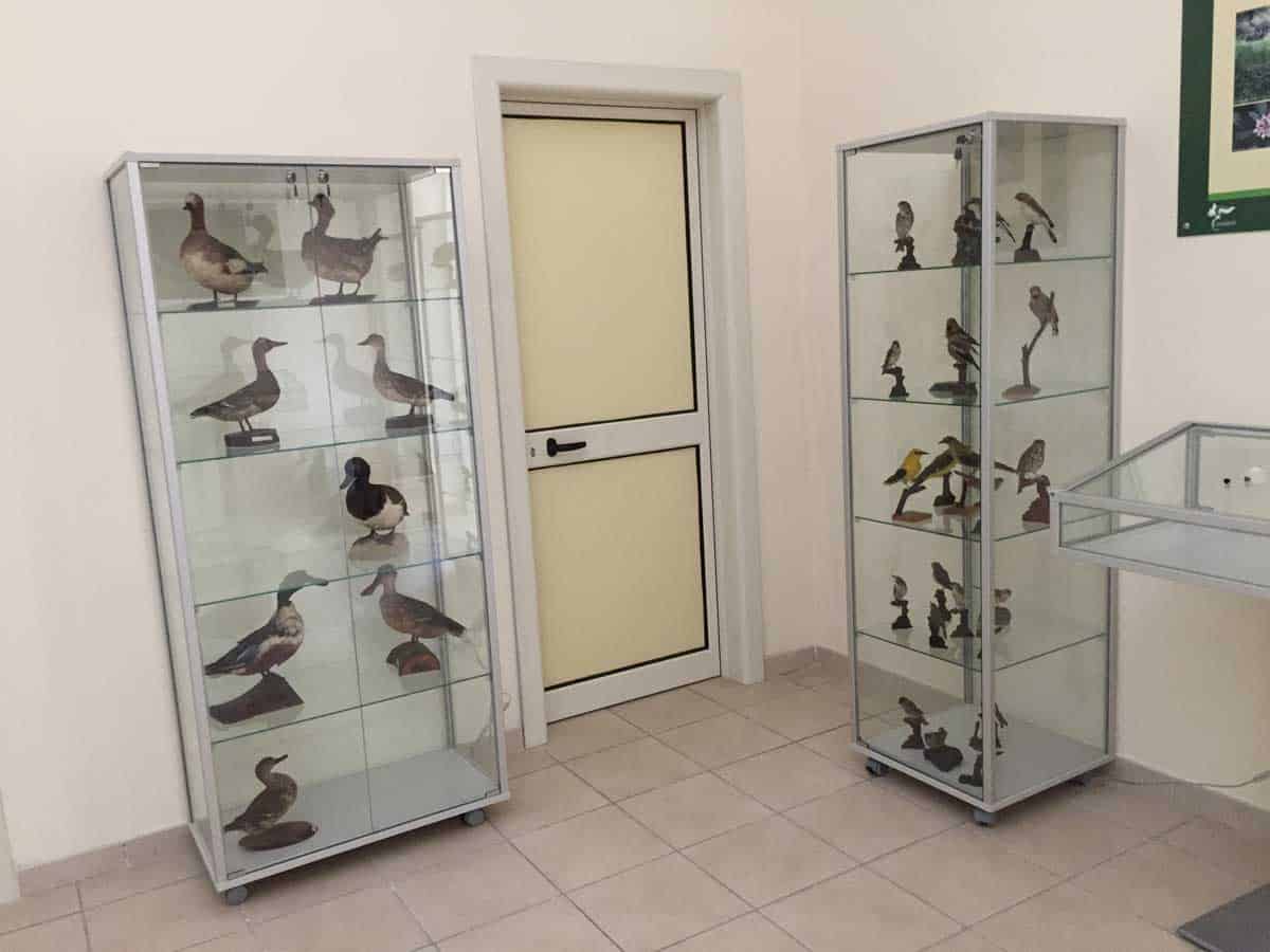 Immagine articolo