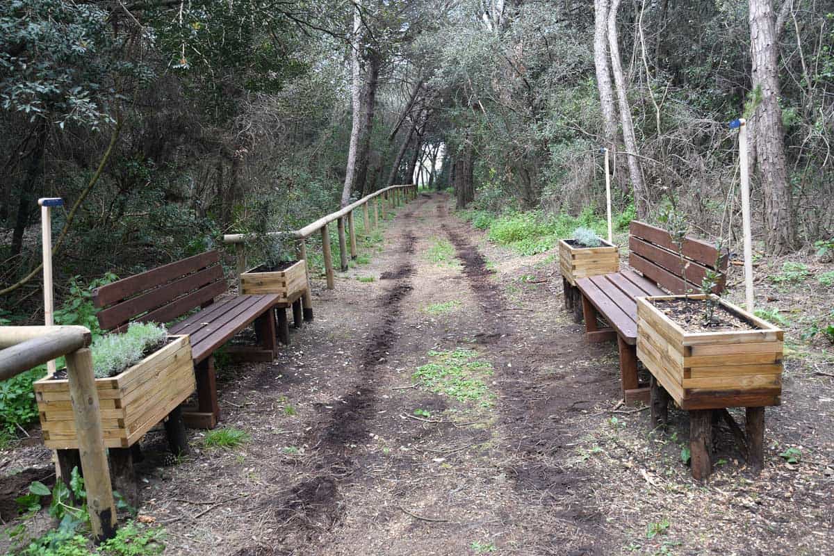 Bio For Polis: un progetto per la salvaguardia della biodiversità