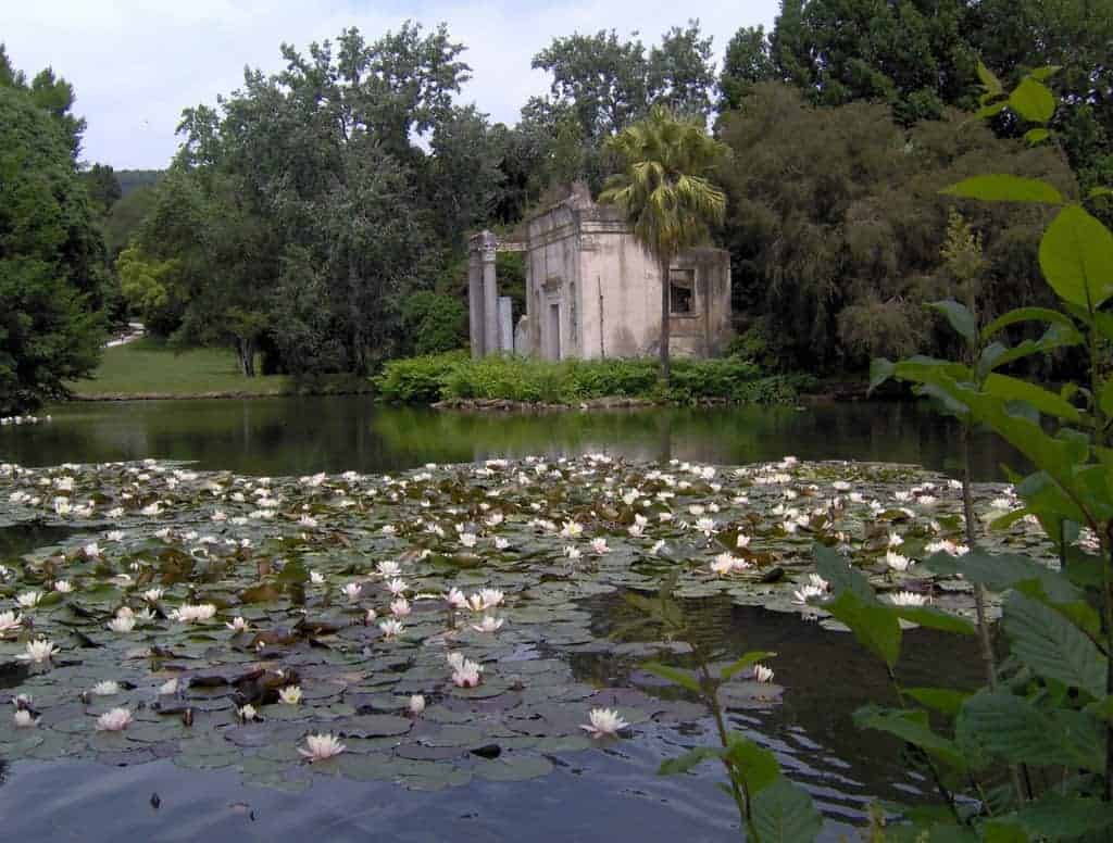 "Il Panda siamo noi", la mostra resta alla Reggia di Caserta anche a settembre