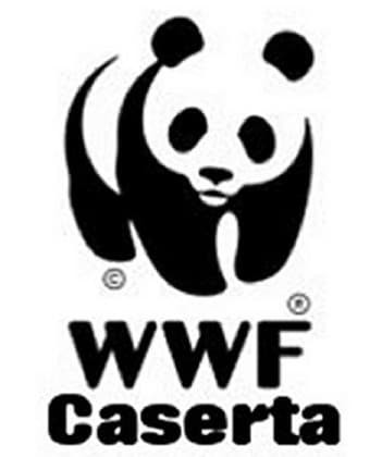WWF Caserta, recuperata una Poiana ferita a Sessa Aurunca