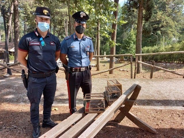 Auletta: denunciato un bracconiere per caccia illegale