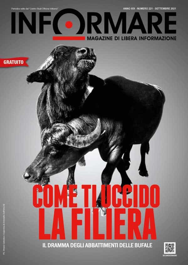 Magazine settembre 2021