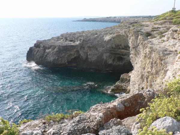 Salento, continua la strage ambientale nei mari