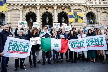 Cannabis: depositate in Cassazione 630mila firme per referendum