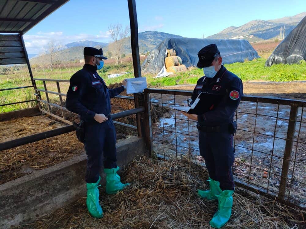 Sversamento illecito di rifiuti: a Sessa Aurunca sequestrate aree per 400 mq