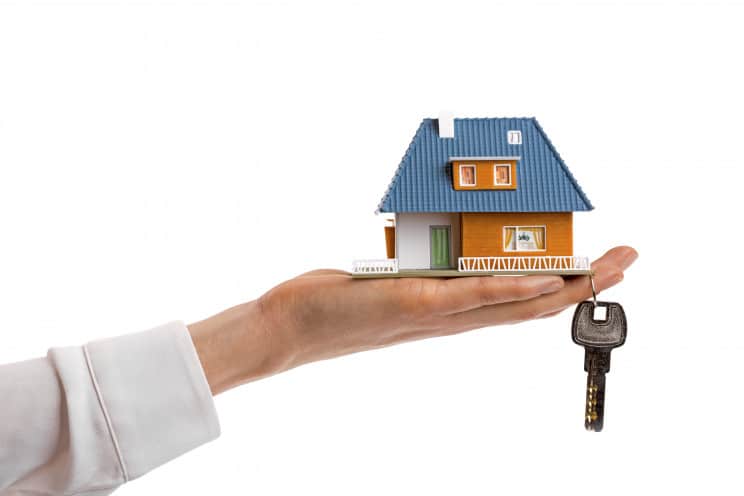 Usucapione: la coltivazione di un terreno non è sufficiente per l'acquisto della proprietà