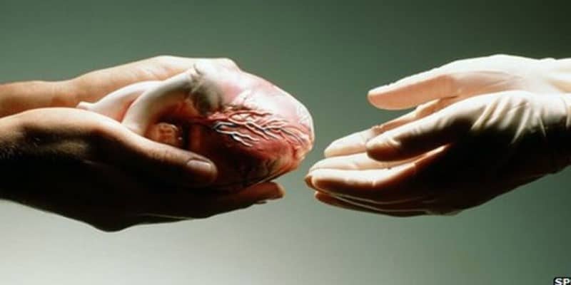 Record per Boscoreale: la cittadina del napoletano è la più attiva per la donazione degli organi