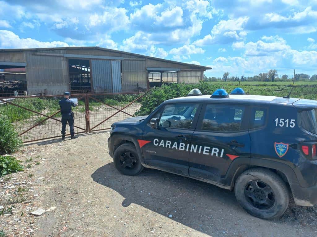 Grazzanise (CE): la Forestale di Castel Volturno sequestra opere abusive