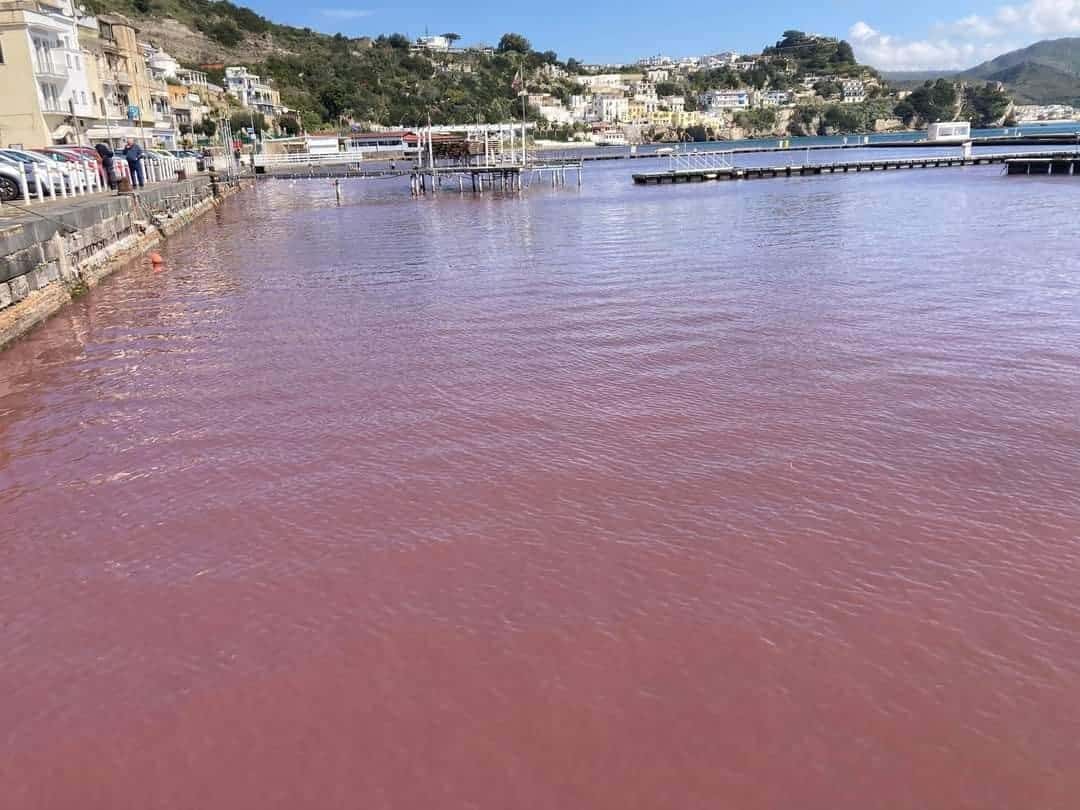 Campi Flegrei, Baia: le acque del porto si tingono di rosso