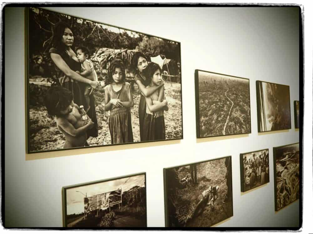 word press photo