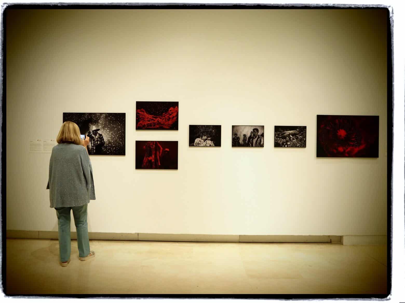 word press photo