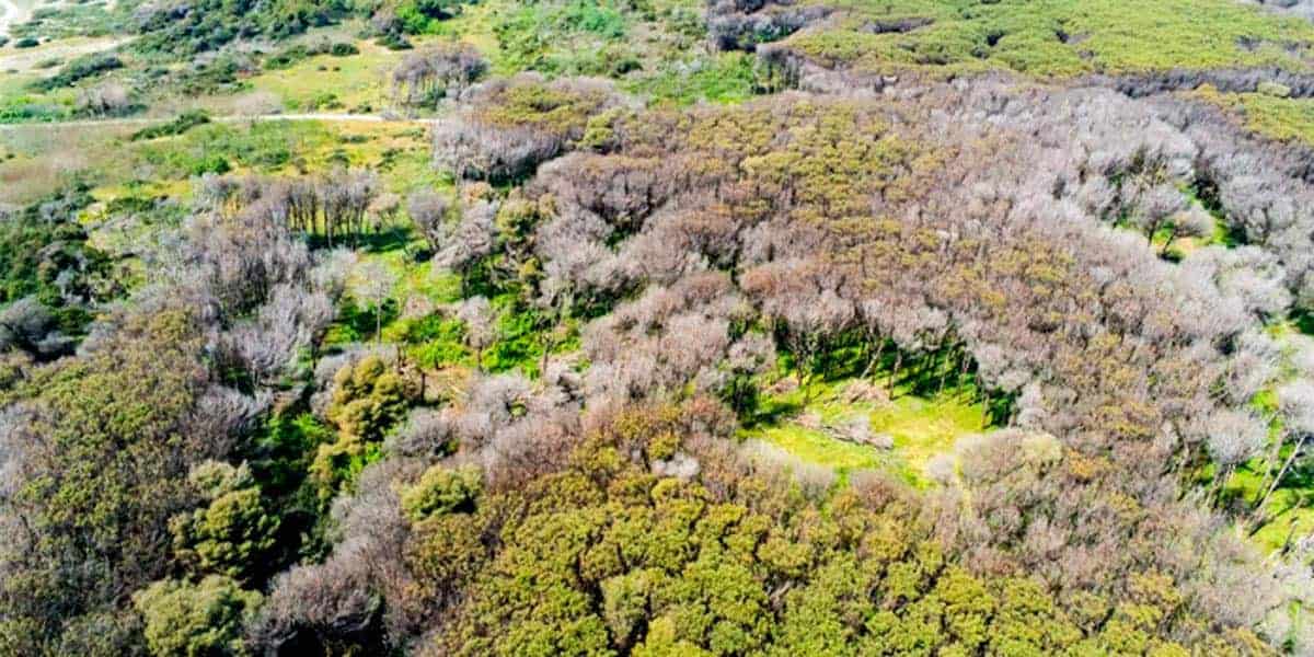"Frammenti di Natura": il progetto di WWF Italia per il Litorale Domizio e i Monti Tifatini