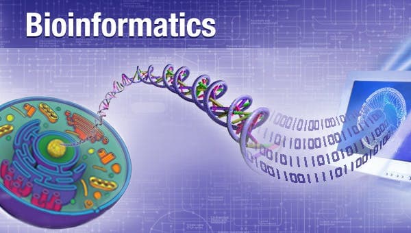 L'università di Bari si apre al futuro: via alla nuova laurea in Bioinformatica