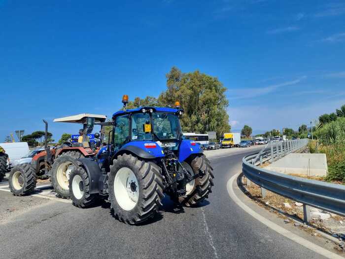Protesta degli allevatori bufalini casertani: "Reazione straordinaria della comunità"