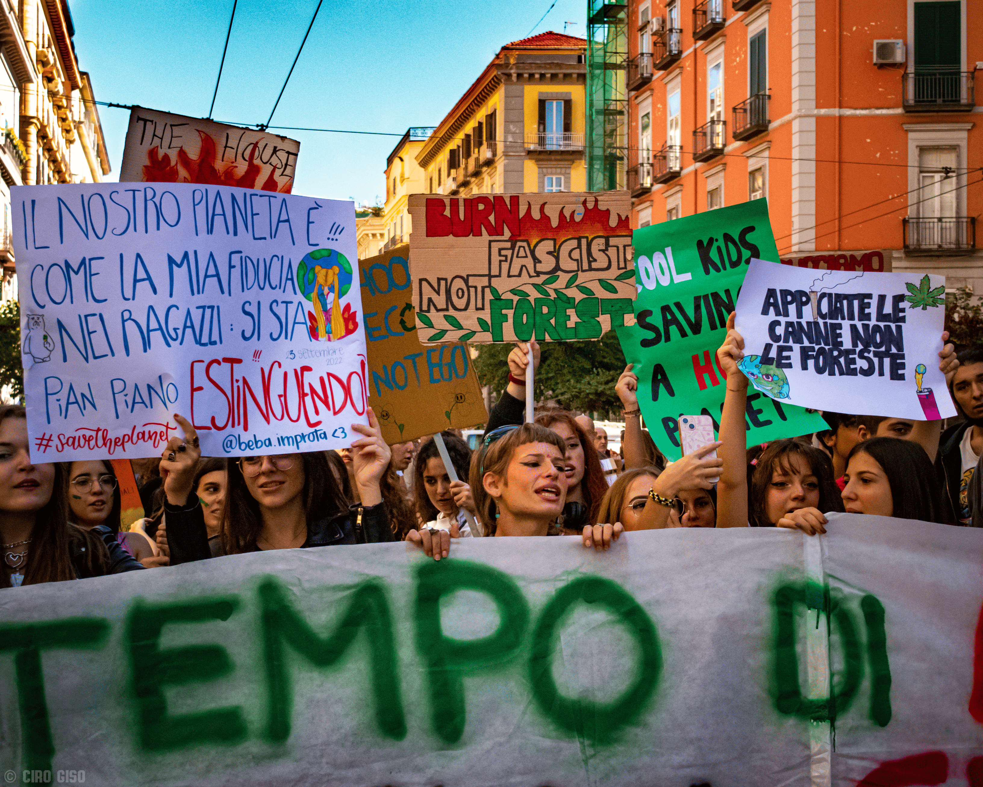 Immagine articolo