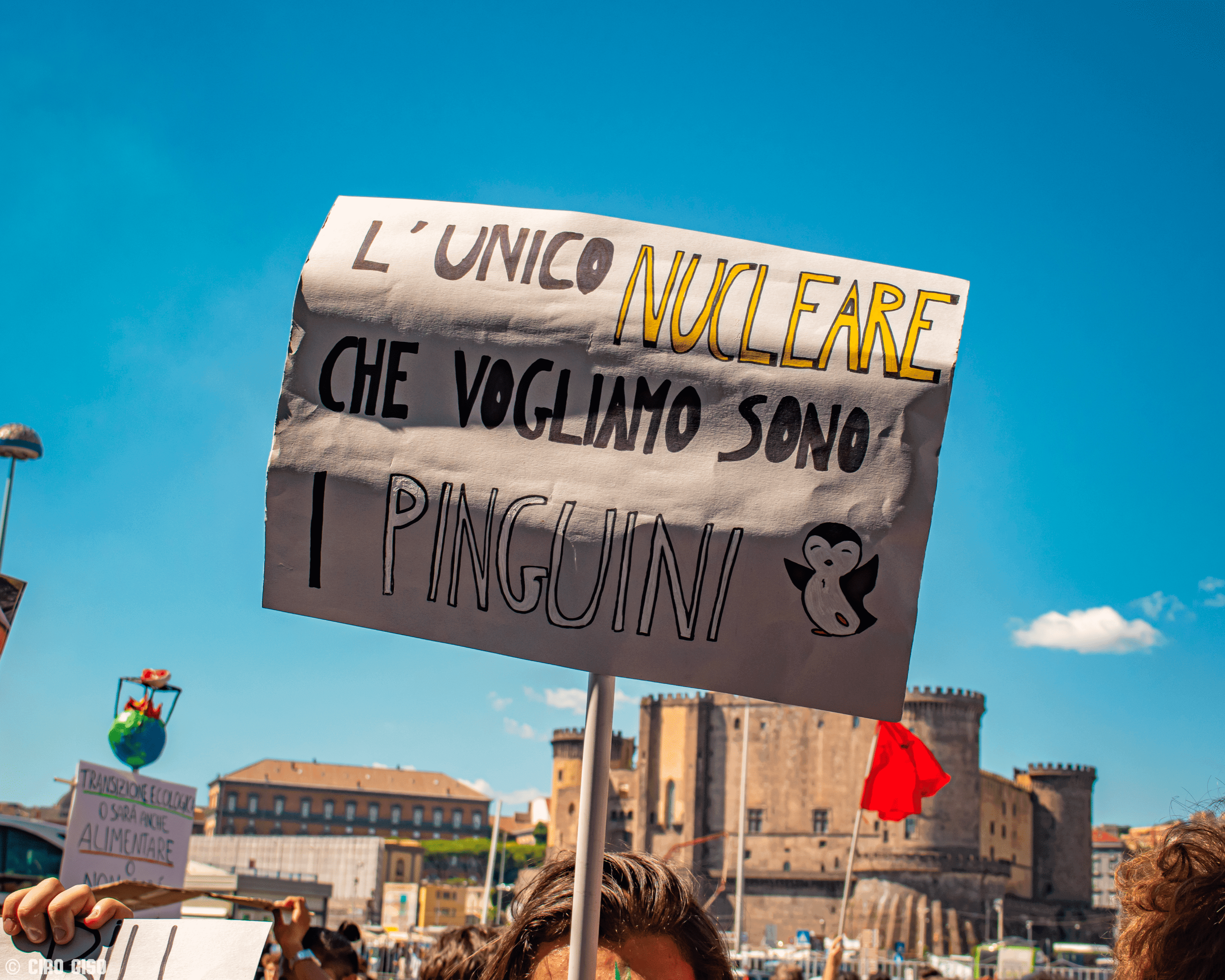 Immagine articolo