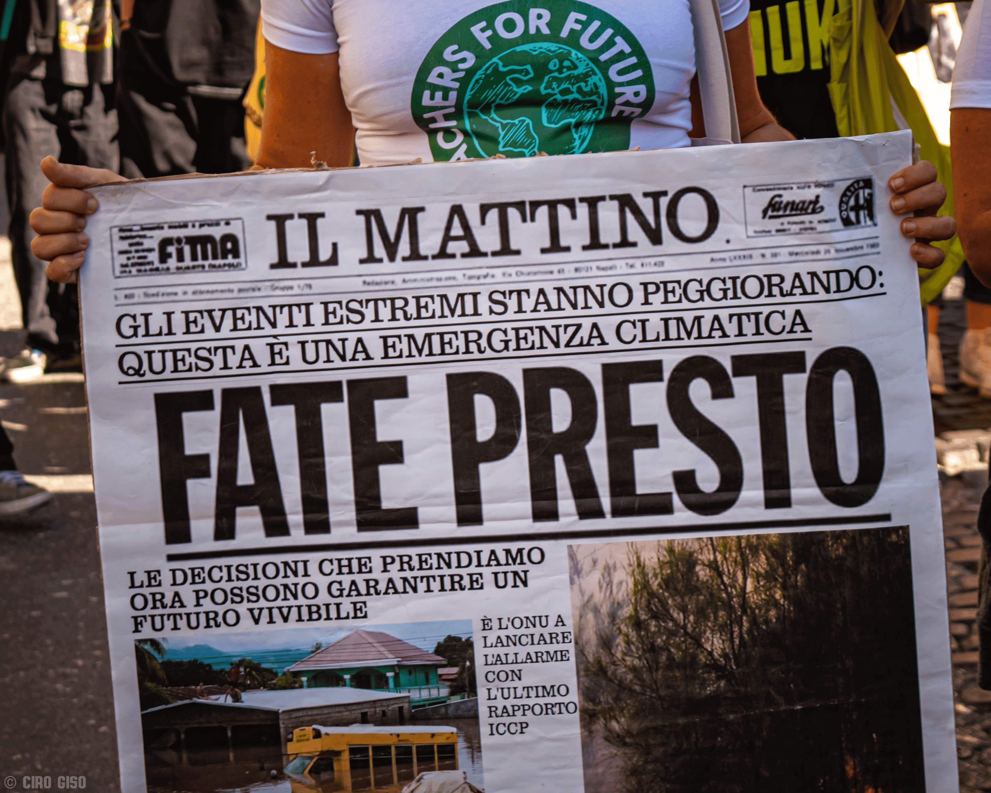 Immagine articolo