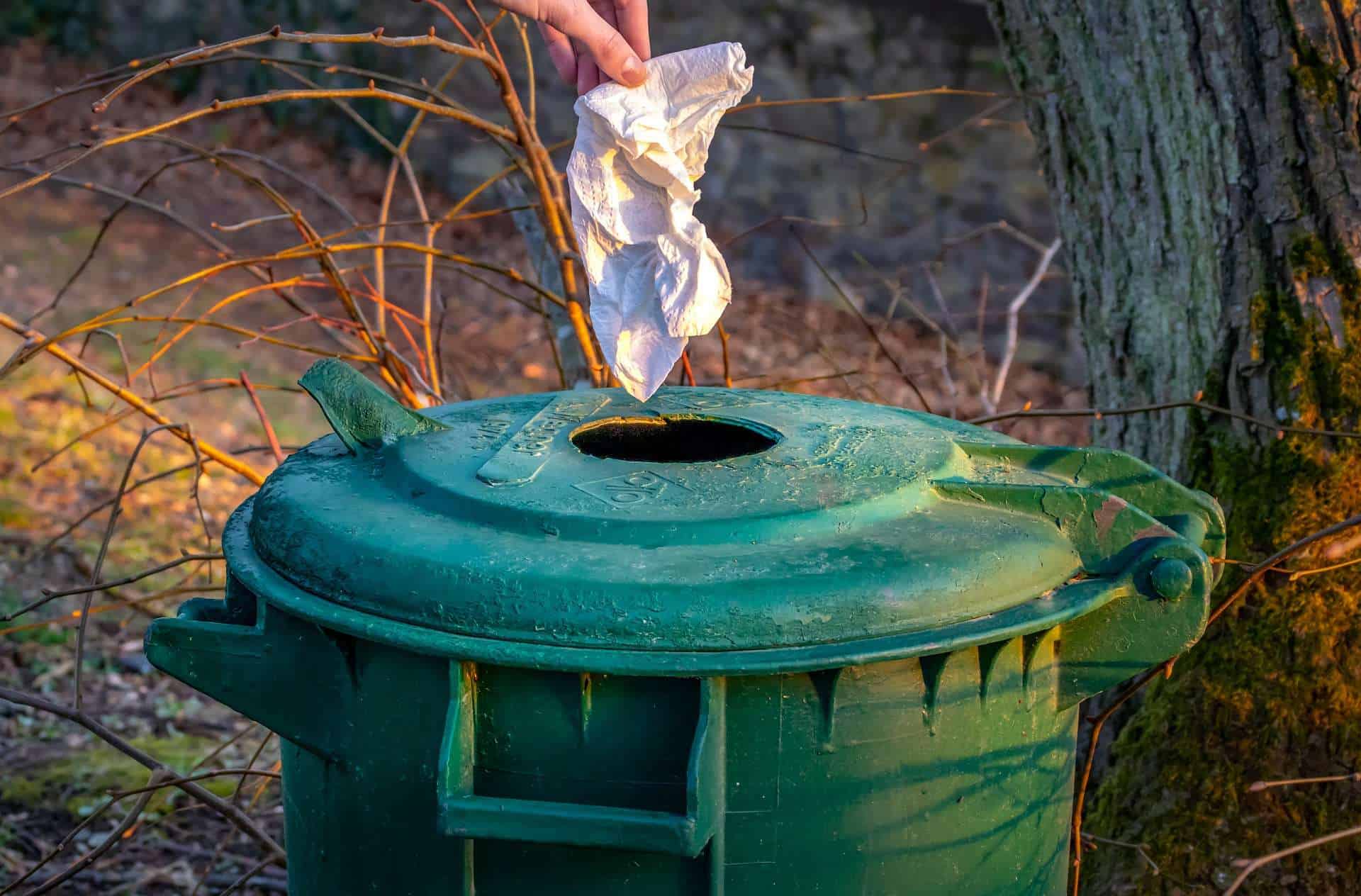Cancello ed Arnone per l'ambiente: le due iniziative per la tutela ambientale