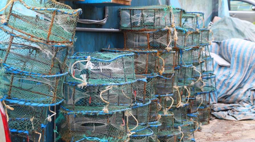 Pesca illegale sul Litorale Domitio: sanzionati pescatori professionisti