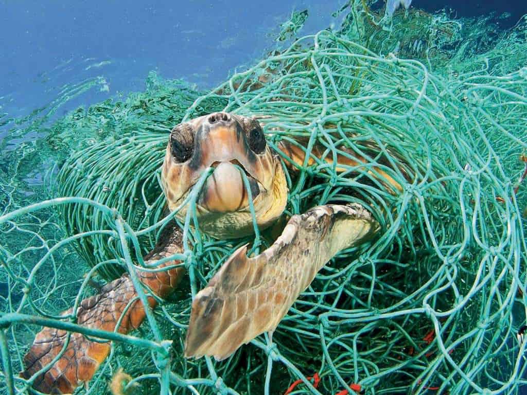 Il Mediterraneo è un mare piccolo, ma dai grandi problemi