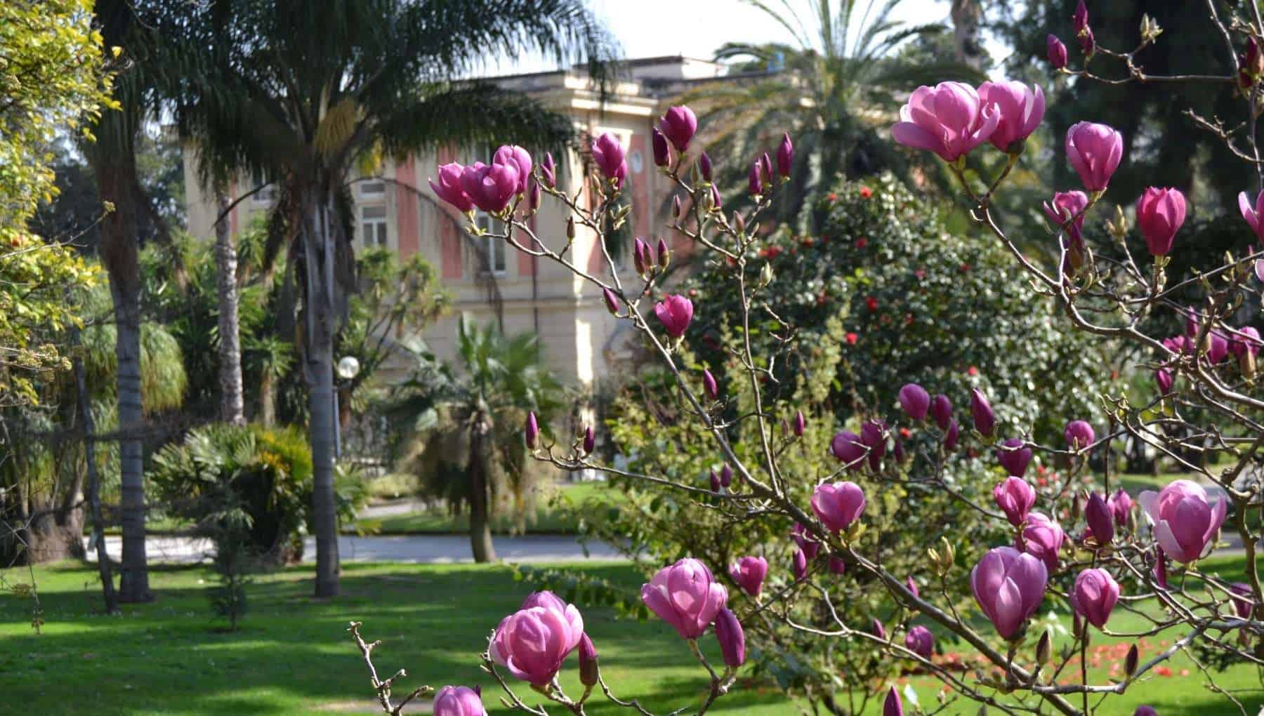 Napoli, inaugurata all'Orto Botanico la trentesima edizione di "Fiabe di Primavera"