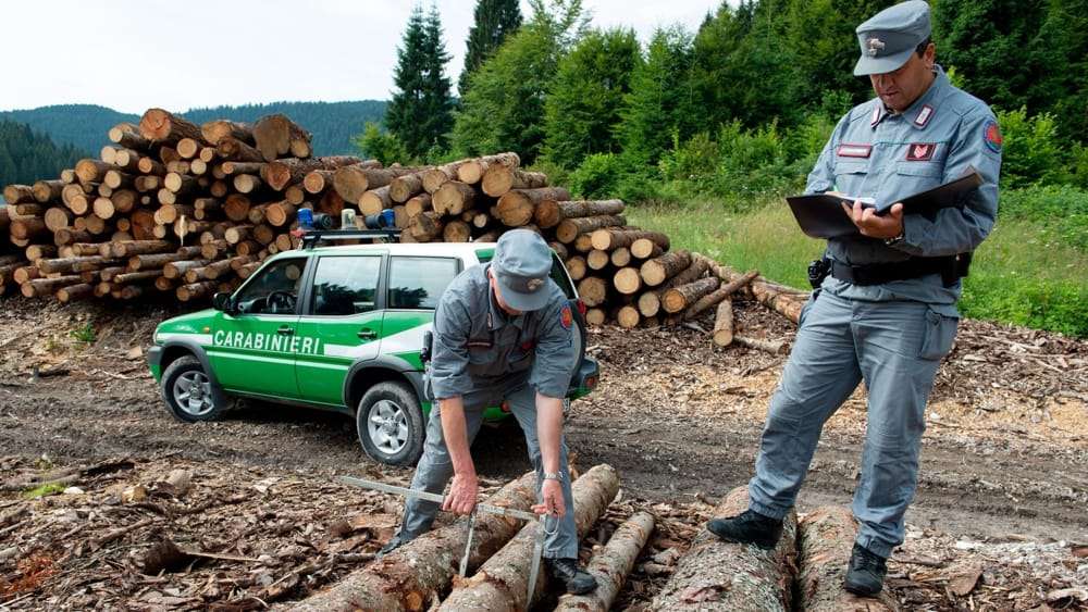 Forestali, Costa e Tucci (M5S): operai senza tutele, urge regolare posizione