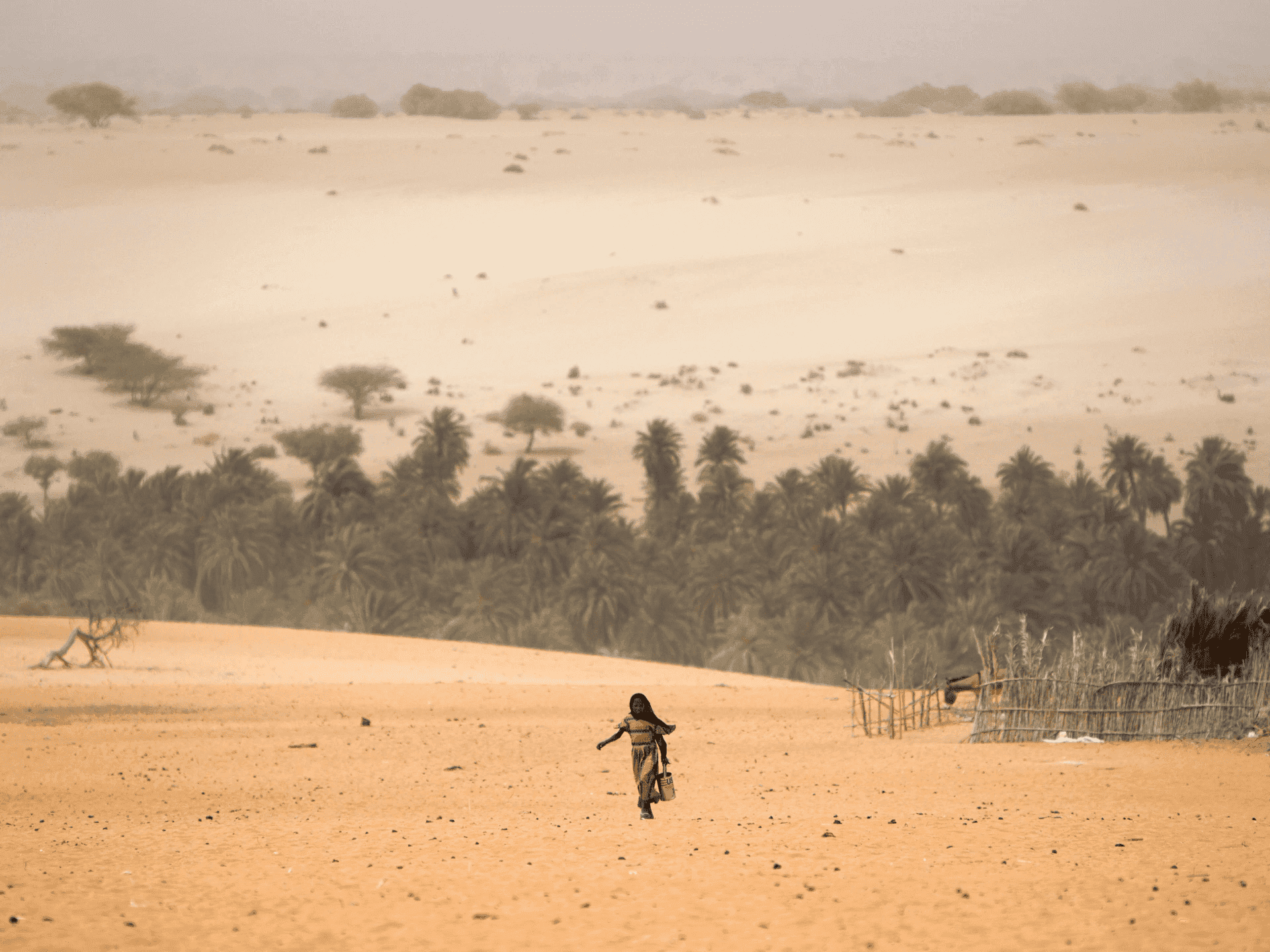 RUBRICA DIRITTI. Cambiamenti climatici
