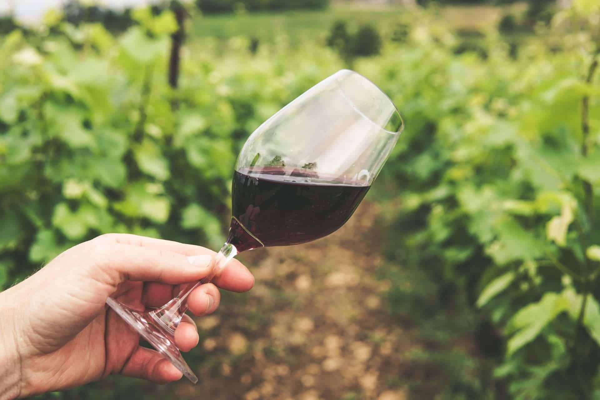 Campania protagonista al Vinitaly: boom di esportazione dei vini