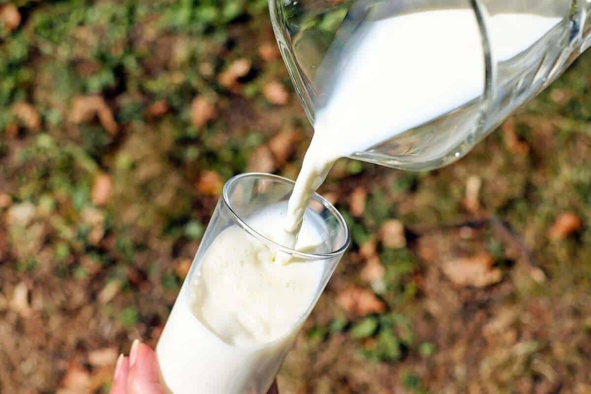 L'Italia è uno dei principali leader nella produzione di latte sintetico