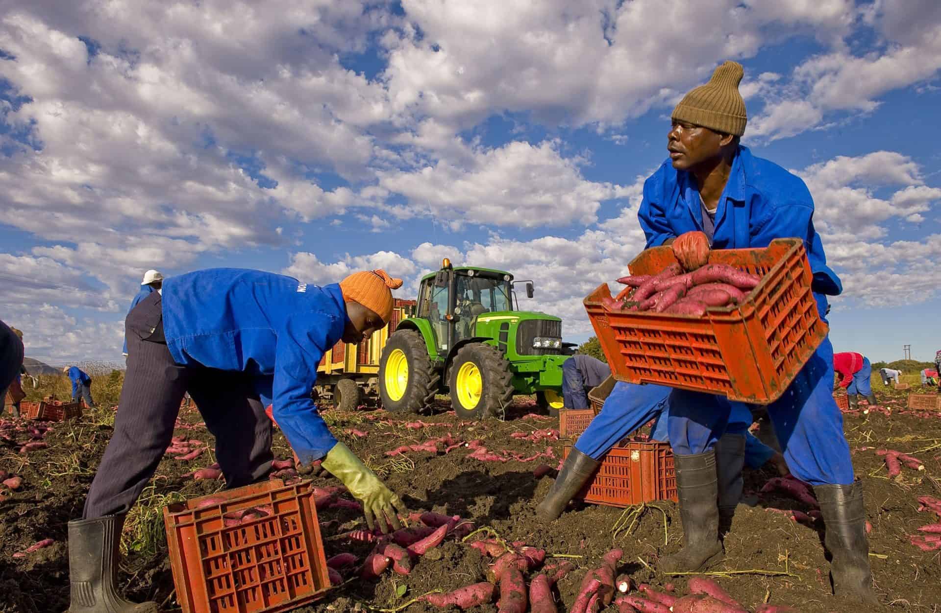 La grande difficoltà dei lavoratori sottopagati