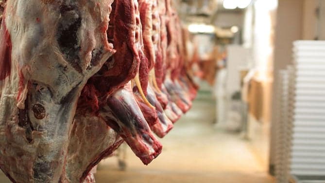Le mani delle lobby della carne sulla Cop28