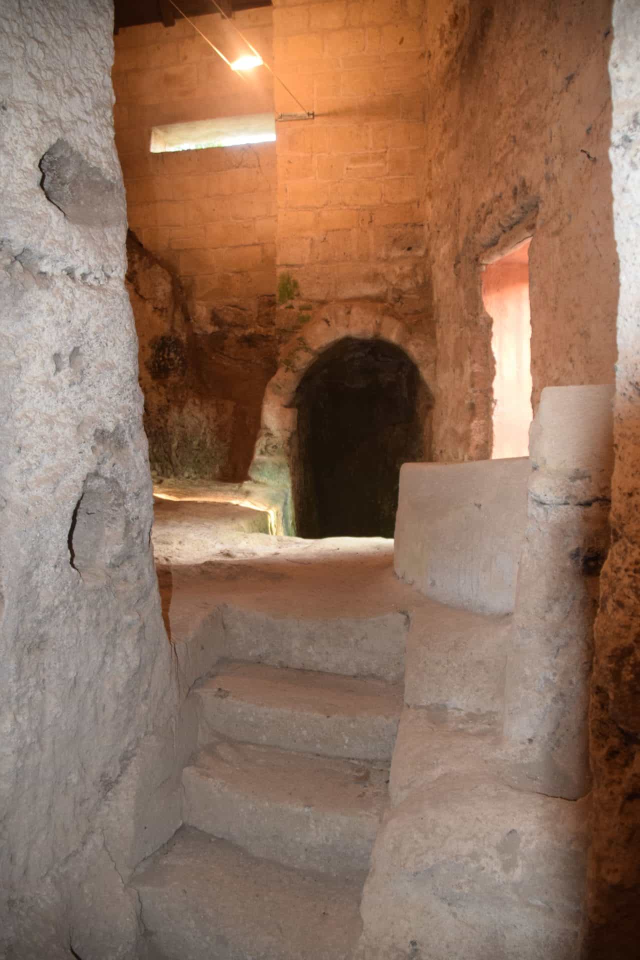 Immagine articolo