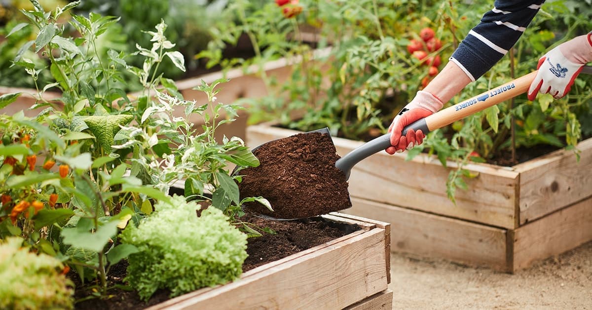 Giardino organico, ogni scuola dovrebbe averne uno
