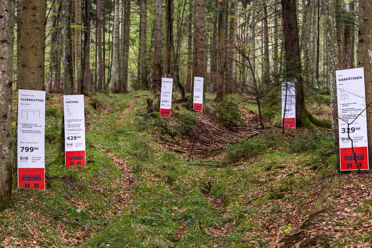 Scandalo IKEA, arriva l'accusa di Greenpeace