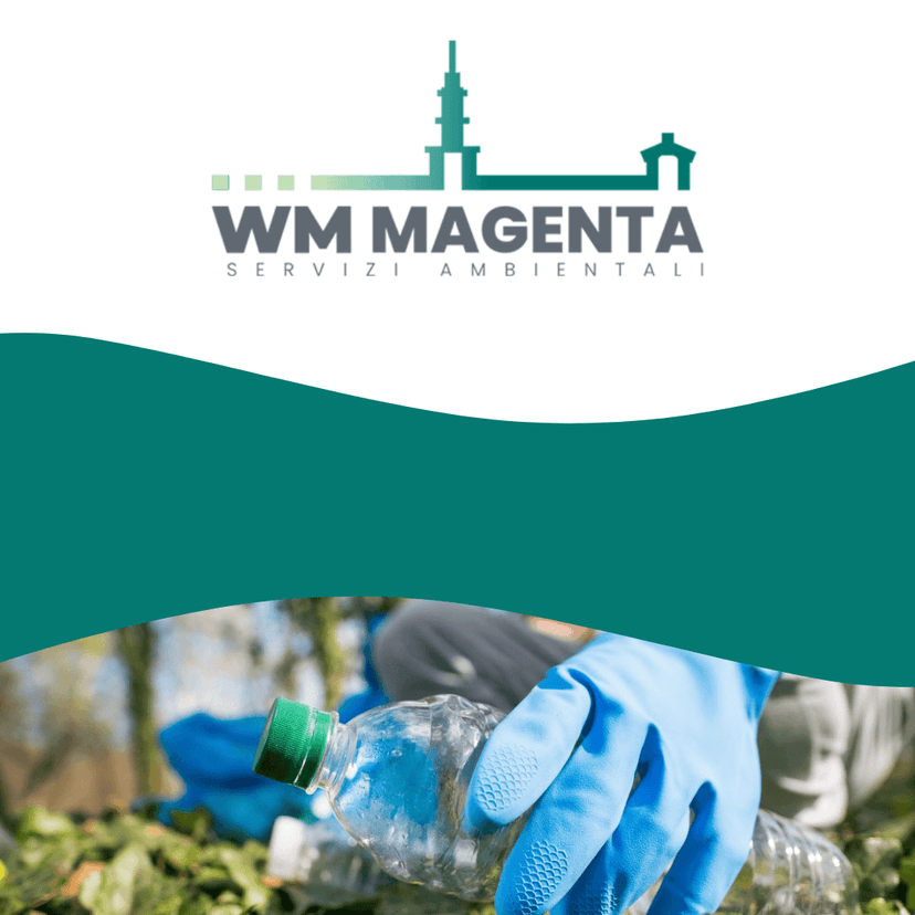 wmmagenta