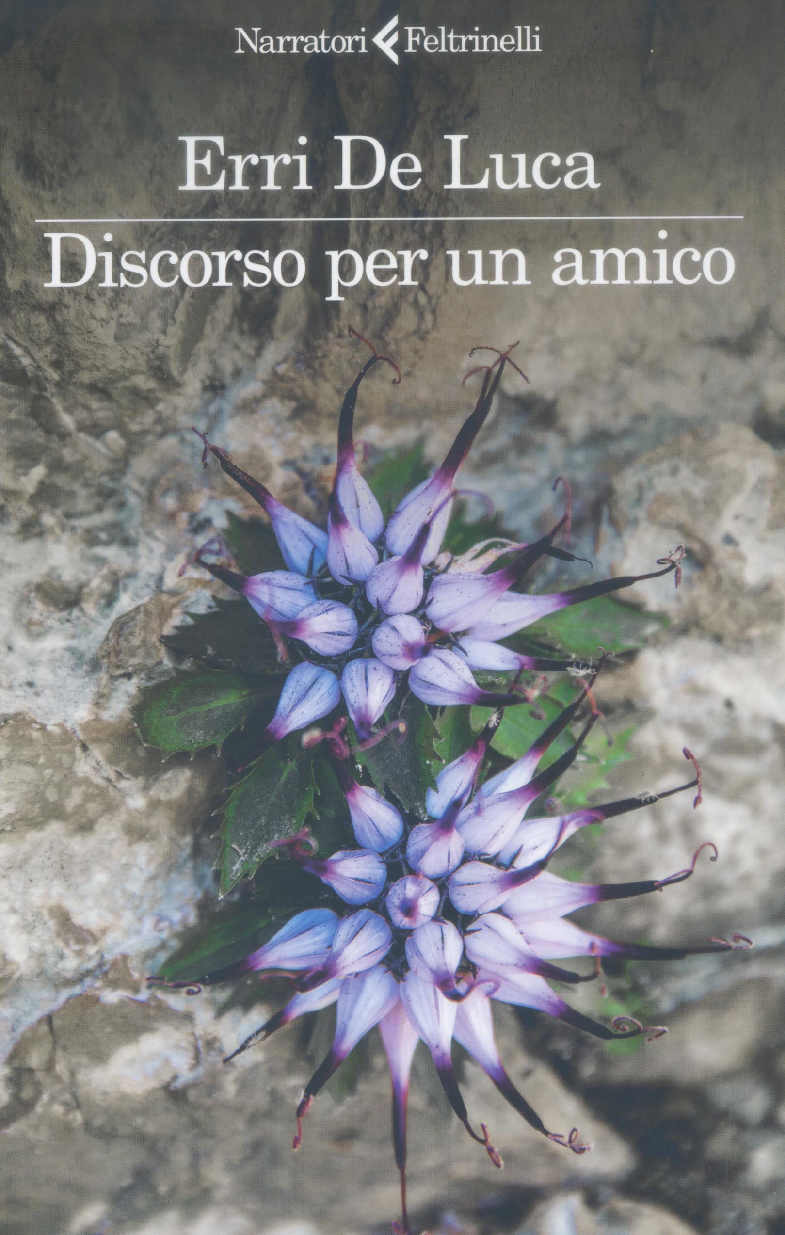 Immagine articolo